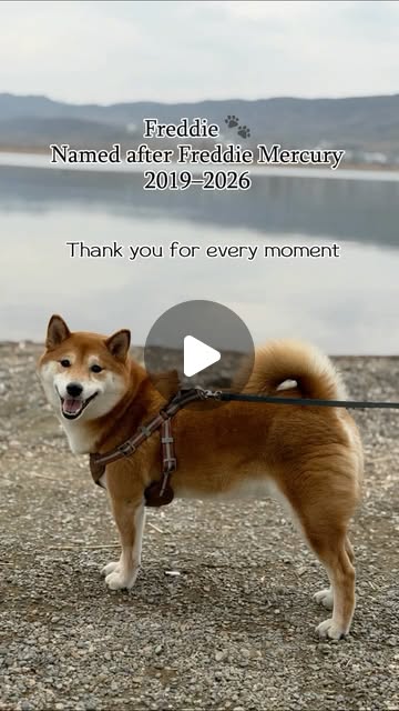 Fredo tribute reel thumbnail
